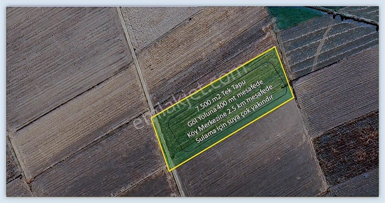 Kaçmaz Fırsat! Uluabat Gölü Ve Köye Yakın Konumda Verimli Tarla! - Görsel 3