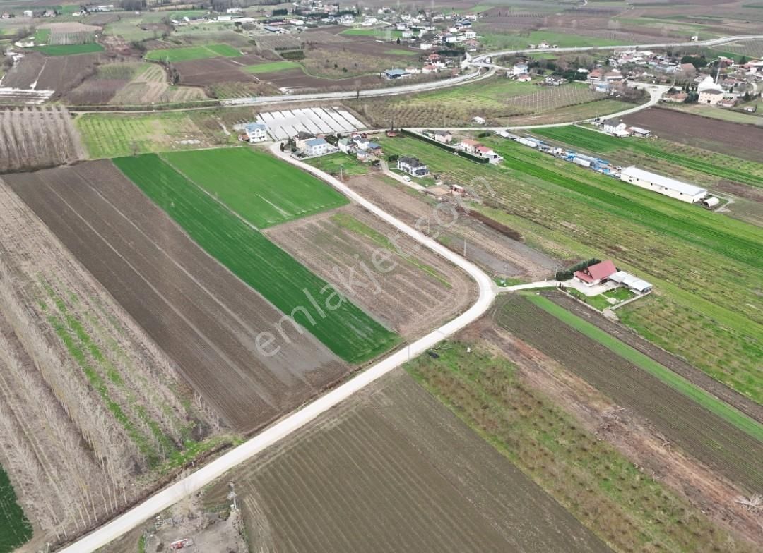 Tapu54 | Arifiye Çaybaşıfuadiye Mah. 5600m2 Son Rakam Acil - Görsel 3