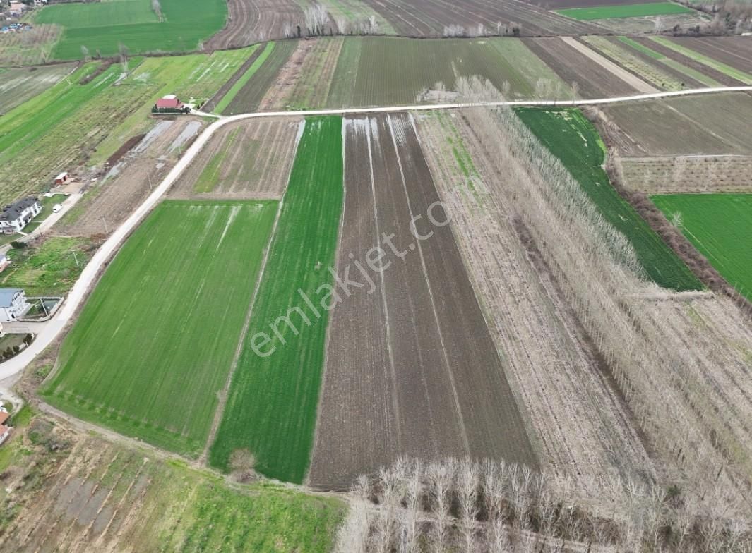 Tapu54 | Arifiye Çaybaşıfuadiye Mah. 5600m2 Son Rakam Acil - Görsel 2