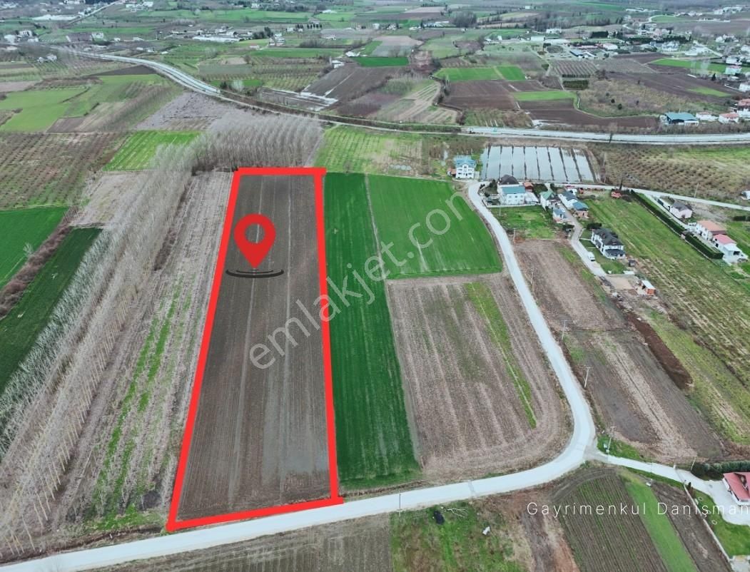 Tapu54 | Arifiye Çaybaşıfuadiye Mah. 5600m2 Son Rakam Acil