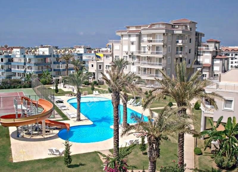 Cikcilli İkamet & Vatandaşlık Uygun Full Eşyalı 1+1 Daire - Görsel 4