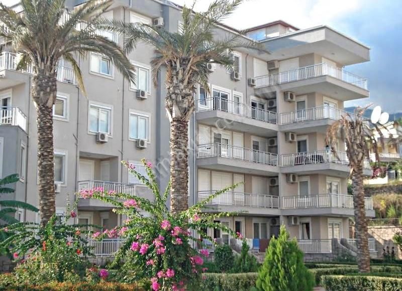 Cikcilli İkamet & Vatandaşlık Uygun Full Eşyalı 1+1 Daire - Görsel 9