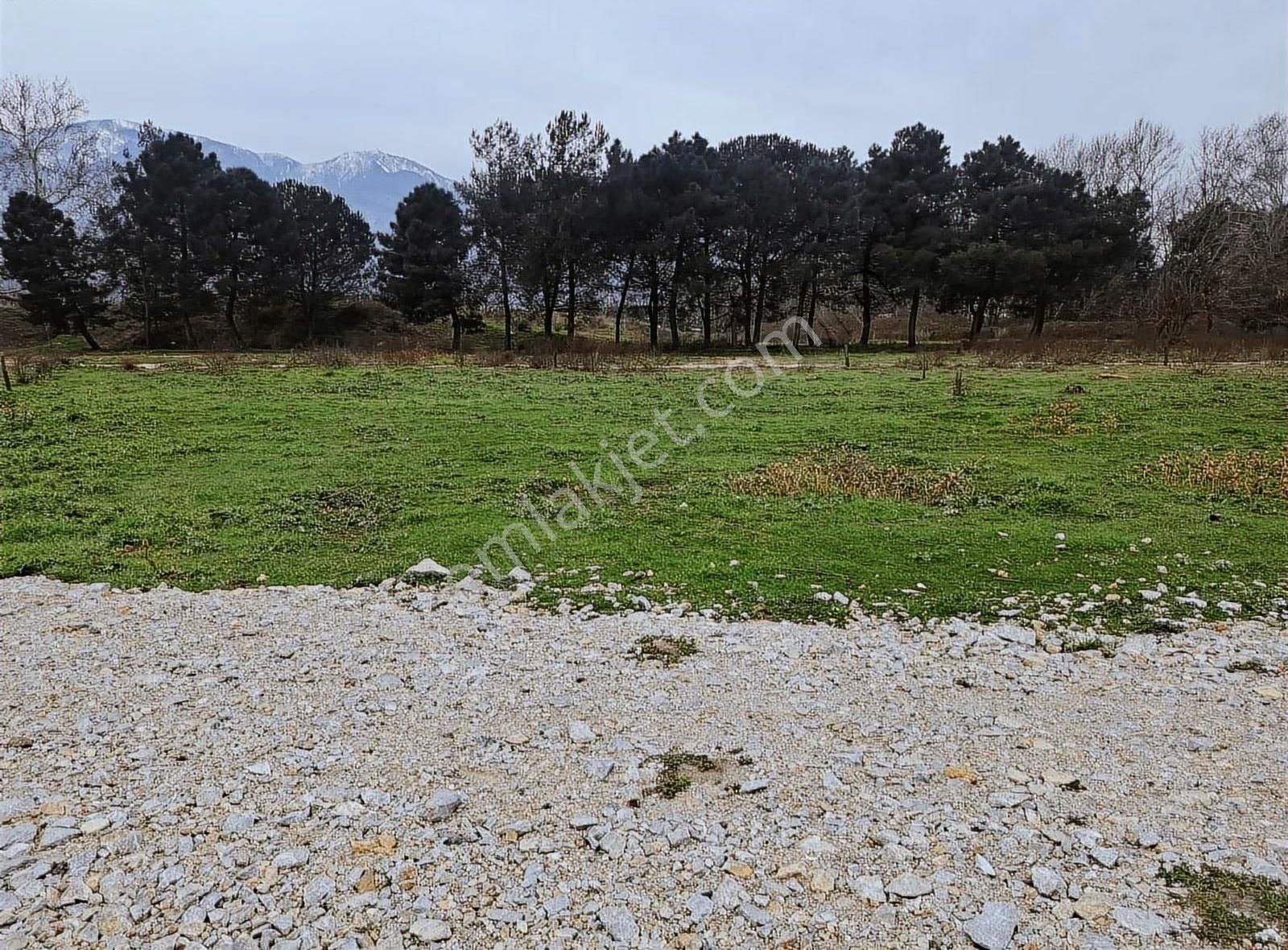 Acil Satılık Arsa Vakıf Mh 140 M²