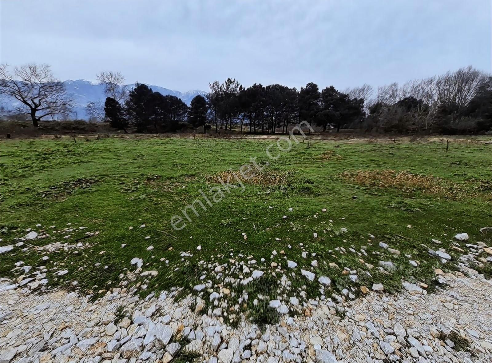 Acil Satılık Arsa Vakıf Mh 140 M² - Görsel 2