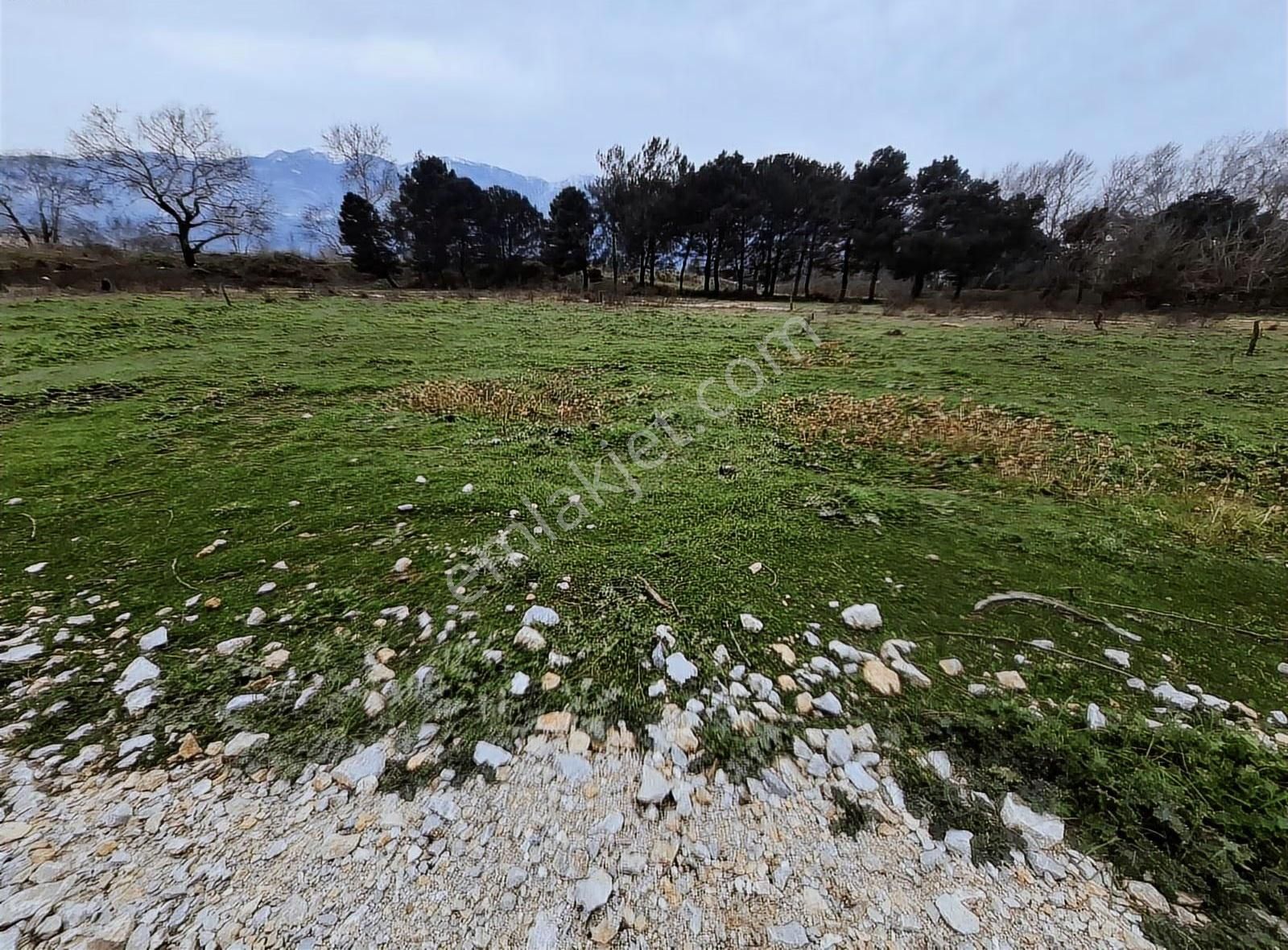 Acil Satılık Arsa Vakıf Mh 140 M² - Görsel 4