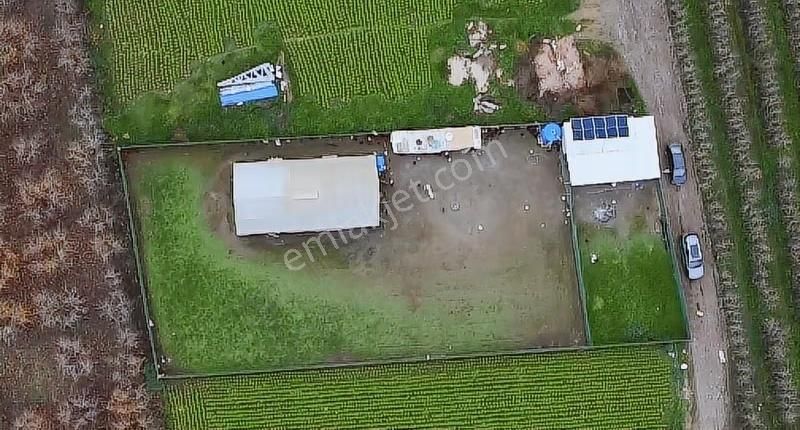 Gürsuda Satılık Çiftlik - Görsel 8