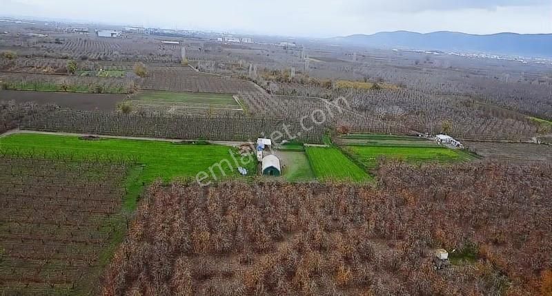 Gürsuda Satılık Çiftlik - Görsel 6