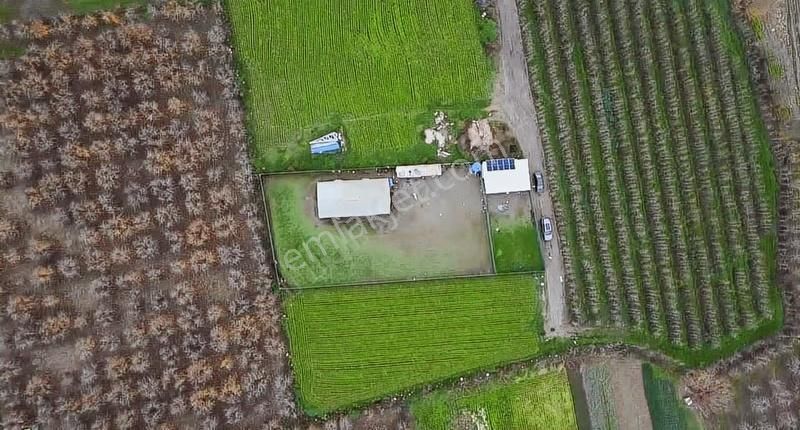 Gürsuda Satılık Çiftlik - Görsel 7