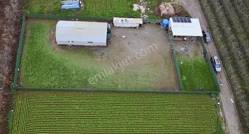 Gürsuda Satılık Çiftlik - Görsel 4