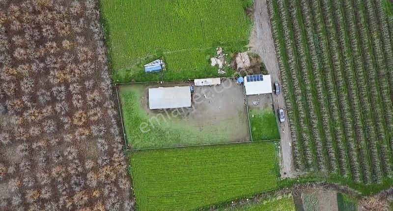 Gürsuda Satılık Çiftlik