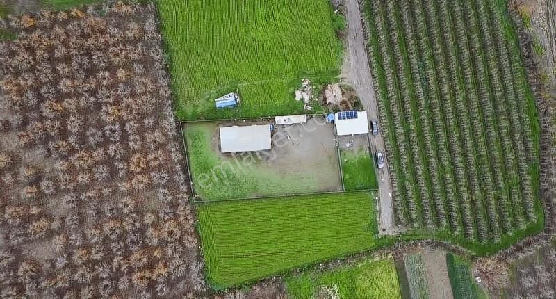 Gürsuda Satılık Çiftlik - Görsel 5