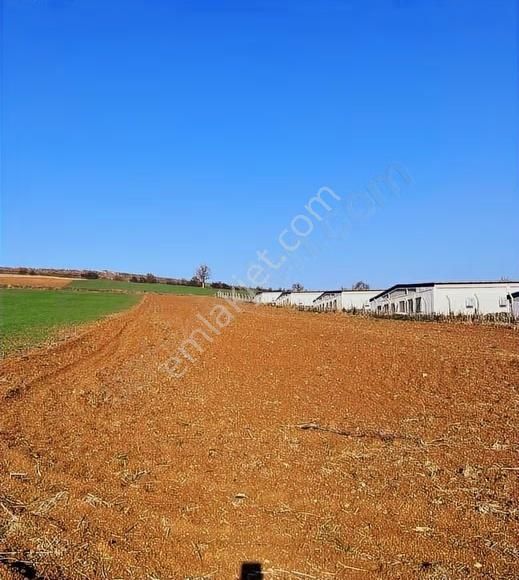 Çiftlik İmarlı Arsa 4100 M² Yenişehir Osmaniye - Görsel 9