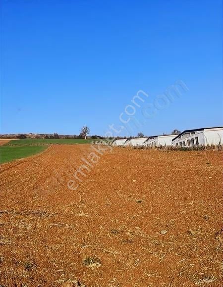 Çiftlik İmarlı Arsa 4100 M² Yenişehir Osmaniye - Görsel 3