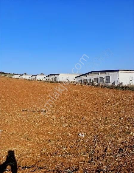 Çiftlik İmarlı Arsa 4100 M² Yenişehir Osmaniye