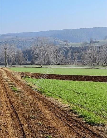 Çiftlik İmarlı Arsa 4100 M² Yenişehir Osmaniye - Görsel 4