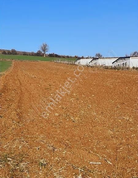 Çiftlik İmarlı Arsa 4100 M² Yenişehir Osmaniye - Görsel 2