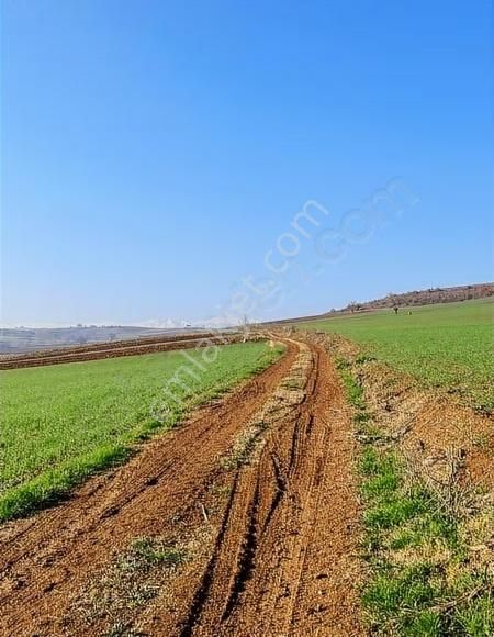 Çiftlik İmarlı Arsa 4100 M² Yenişehir Osmaniye - Görsel 10