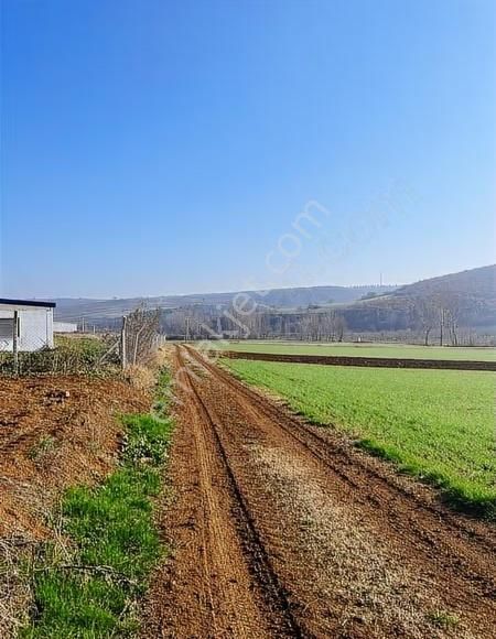 Çiftlik İmarlı Arsa 4100 M² Yenişehir Osmaniye - Görsel 6