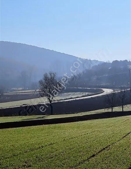 Çiftlik İmarlı Arsa 4100 M² Yenişehir Osmaniye - Görsel 5