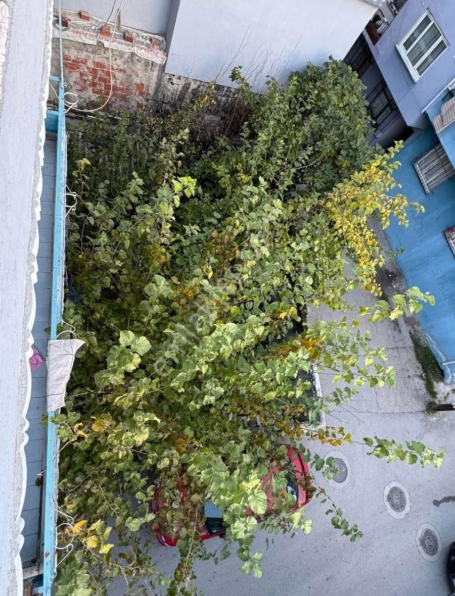 246 M² Bahçeli 4 Katlı Bina - Görsel 17