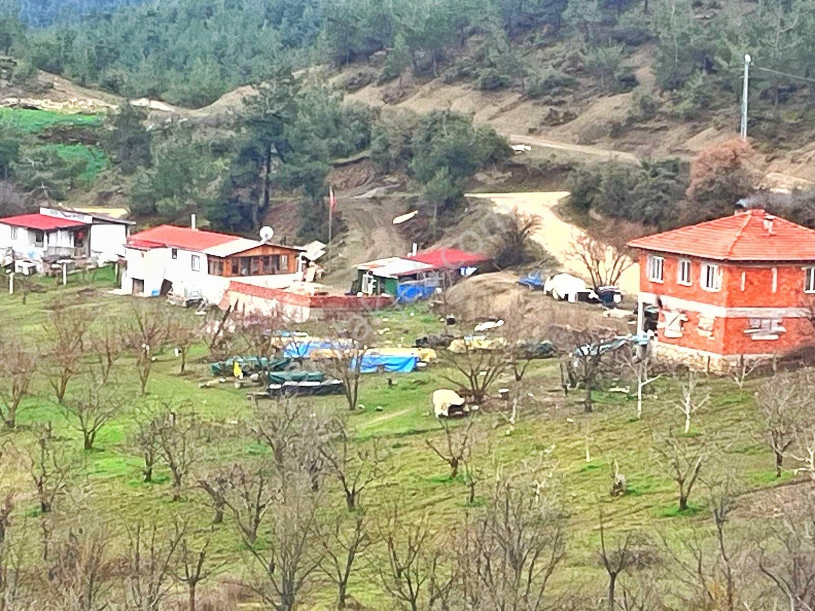 Sakarya / Geyve / Çamlık Mahallesi 🌿 Köy Merkezine Çok Yakın, Resmi Yola Cepheli 2 Arsa - Görsel 12
