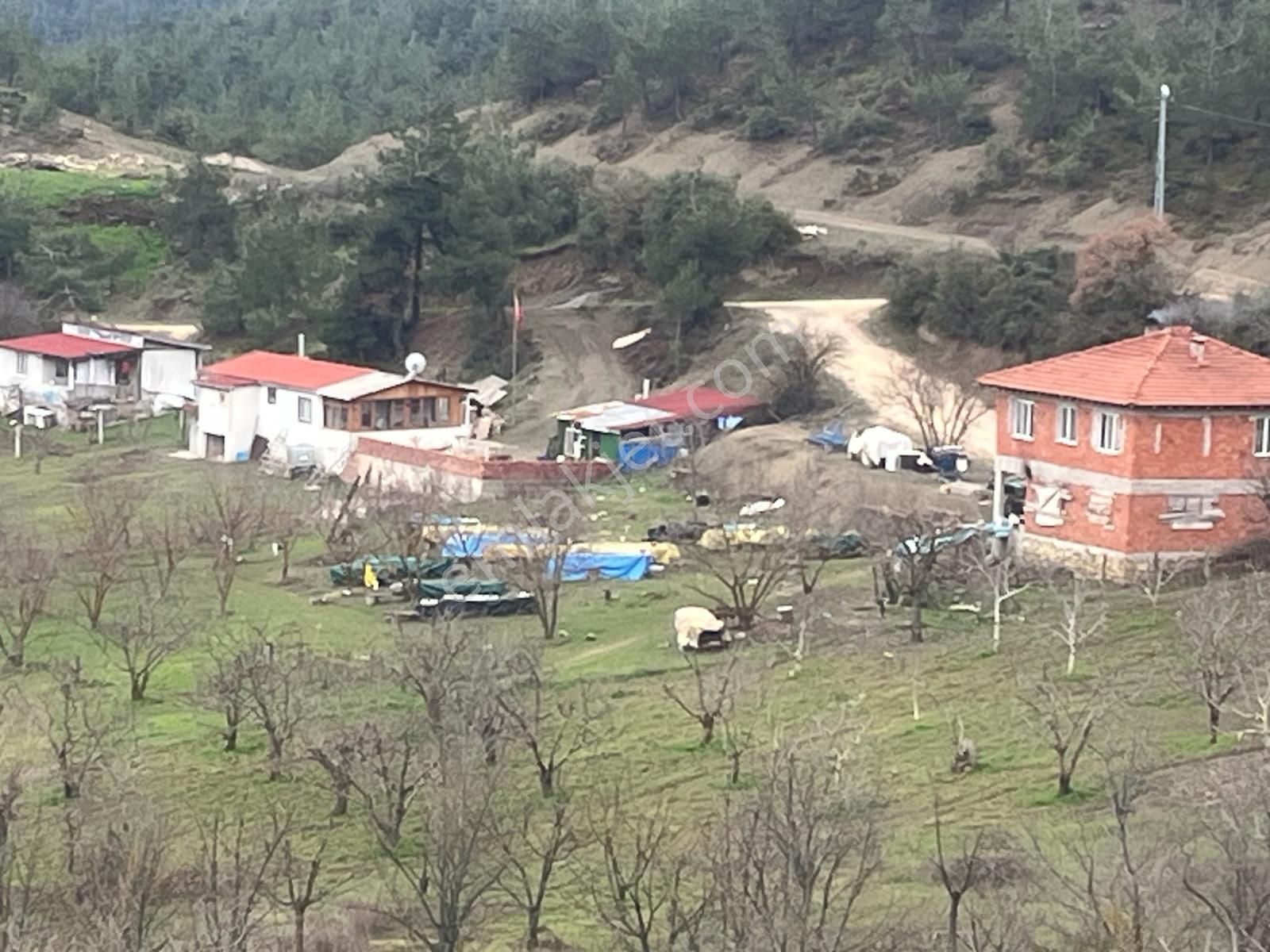Sakarya / Geyve / Çamlık Mahallesi 🌿 Köy Merkezine Çok Yakın, Resmi Yola Cepheli 2 Arsa - Görsel 6