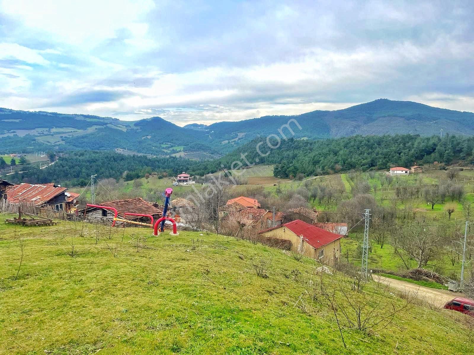 Sakarya / Geyve / Çamlık Mahallesi 🌿 Köy Merkezine Çok Yakın, Resmi Yola Cepheli 2 Arsa