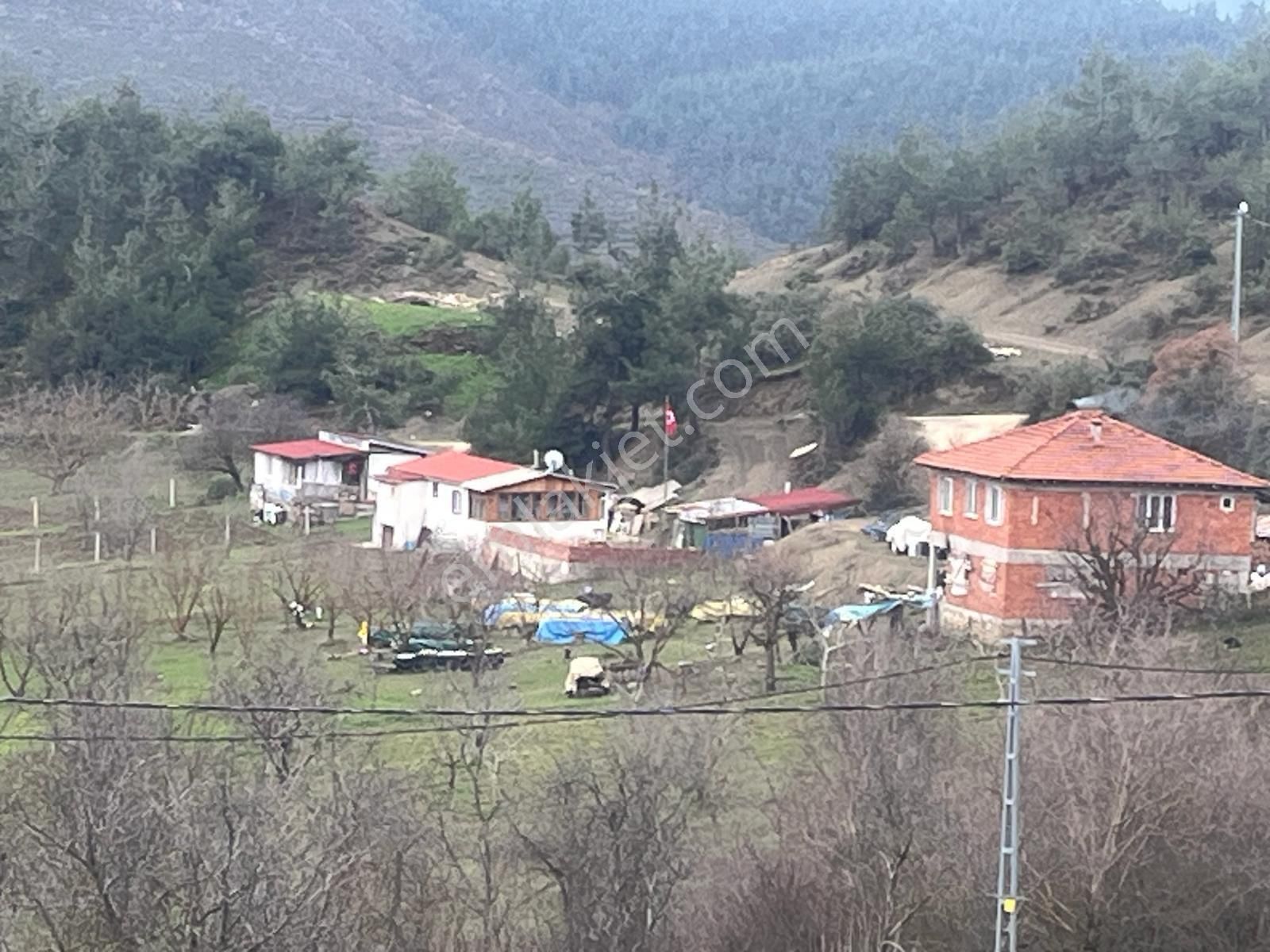 Sakarya / Geyve / Çamlık Mahallesi 🌿 Köy Merkezine Çok Yakın, Resmi Yola Cepheli 2 Arsa - Görsel 9