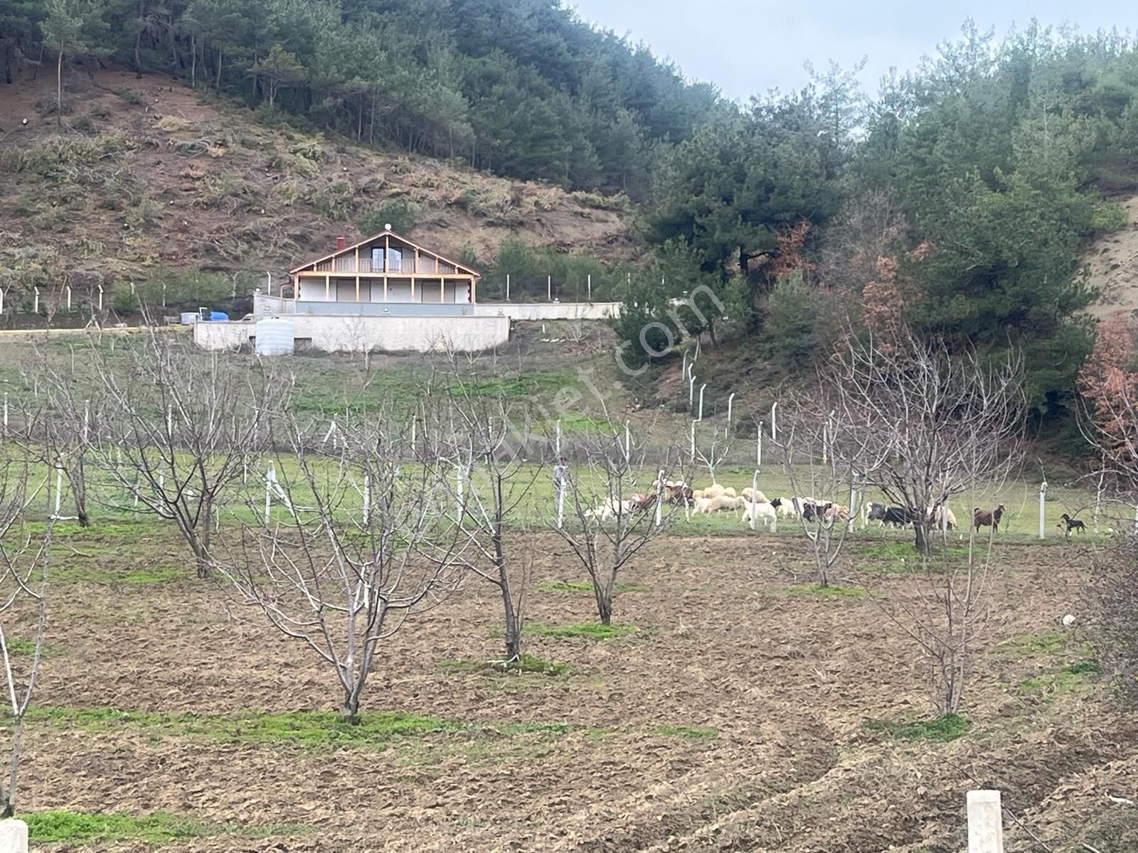 Sakarya / Geyve / Çamlık Mahallesi 🌿 Köy Merkezine Çok Yakın, Resmi Yola Cepheli 2 Arsa - Görsel 19