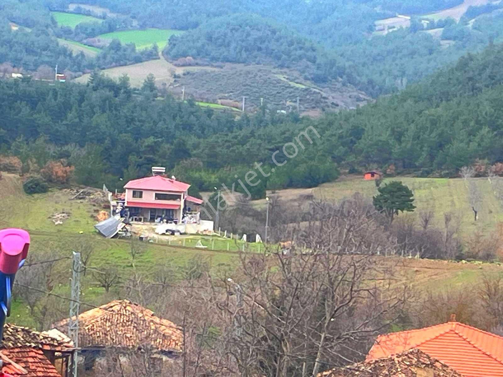 Sakarya / Geyve / Çamlık Mahallesi 🌿 Köy Merkezine Çok Yakın, Resmi Yola Cepheli 2 Arsa - Görsel 4