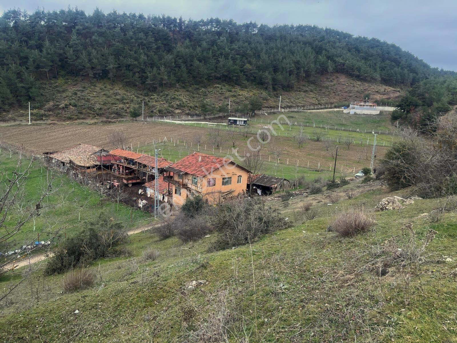 Sakarya / Geyve / Çamlık Mahallesi 🌿 Köy Merkezine Çok Yakın, Resmi Yola Cepheli 2 Arsa - Görsel 8