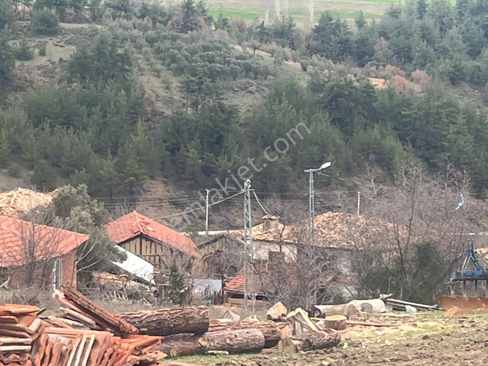 Sakarya / Geyve / Çamlık Mahallesi 🌿 Köy Merkezine Çok Yakın, Resmi Yola Cepheli 2 Arsa - Görsel 18