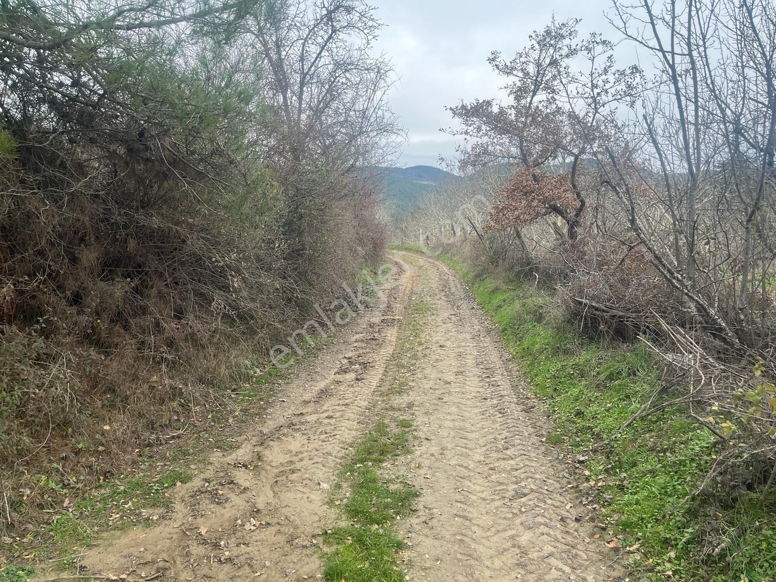 Sakarya / Geyve / Çamlık Mahallesi 🌿 Köy Merkezine Çok Yakın, Resmi Yola Cepheli 2 Arsa - Görsel 21