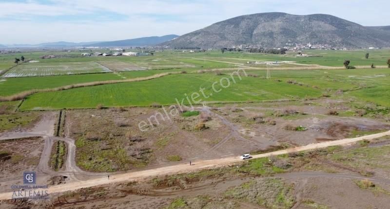 Milas Savran Yatırımlık Uygun Arazi - Görsel 17