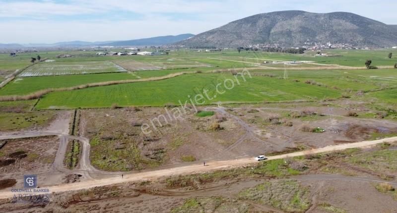 Milas Savran Yatırımlık Uygun Arazi - Görsel 11