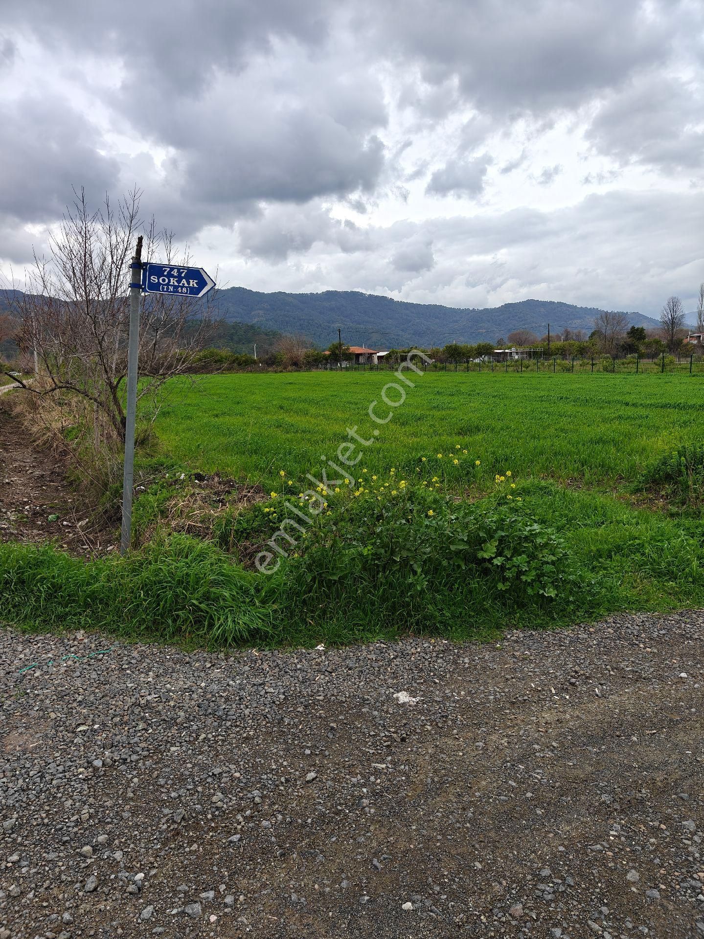 Muğla Ortaca Dalaklı Satılık Arsa - Görsel 6