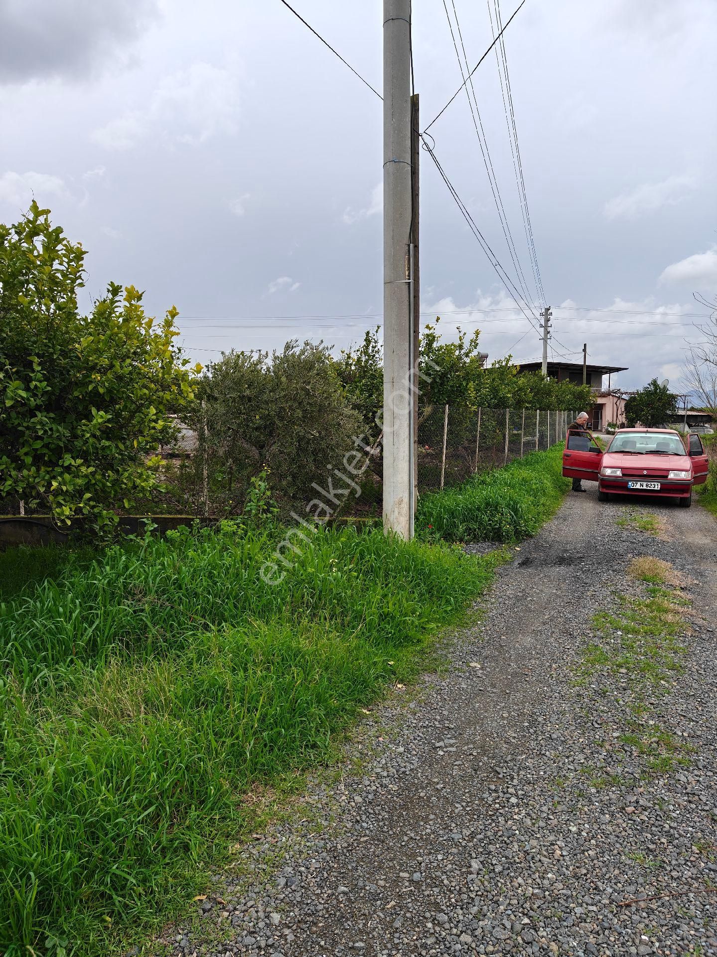 Muğla Ortaca Dalaklı Satılık Arsa