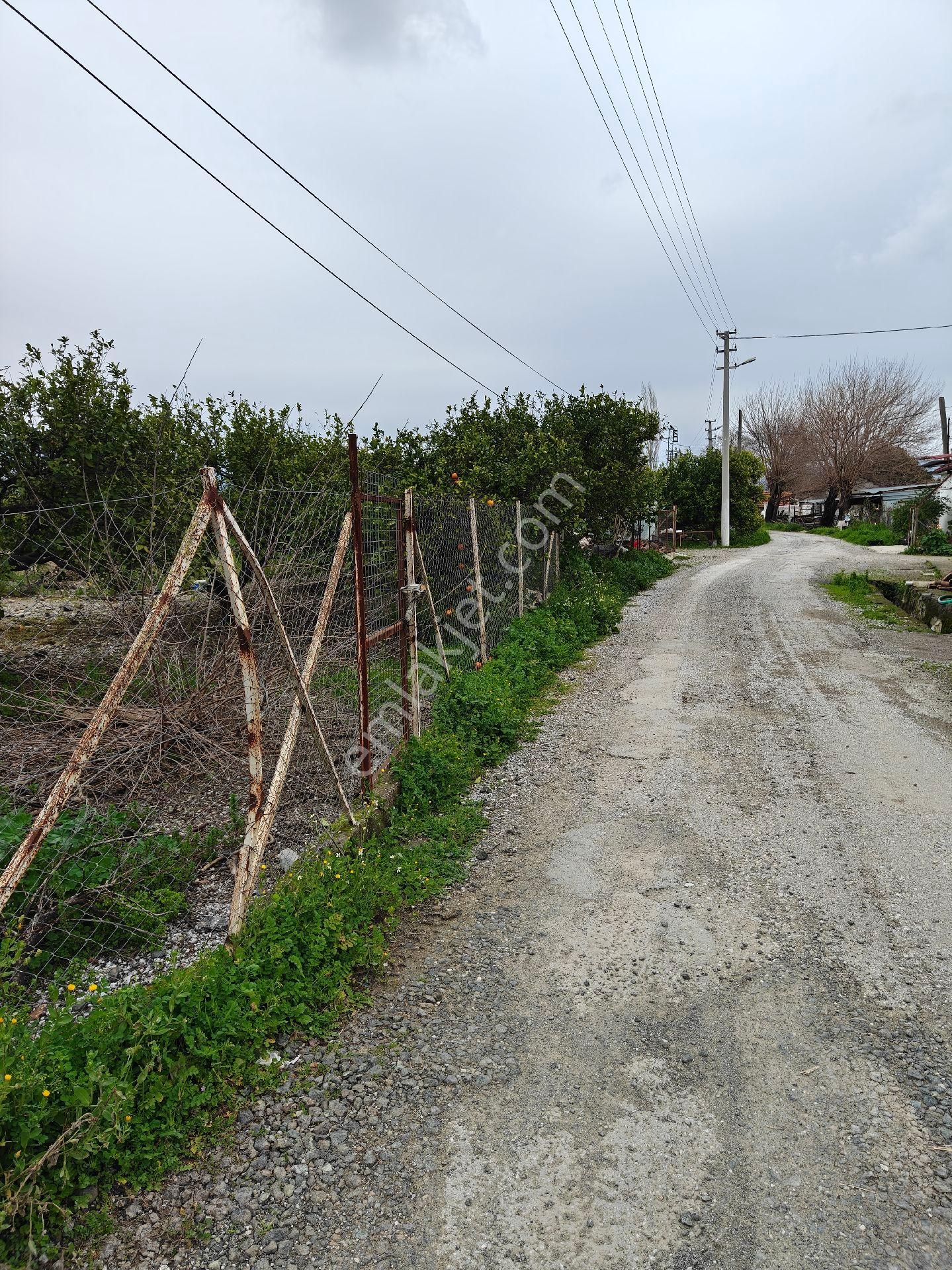 Muğla Ortaca Dalaklı Satılık Arsa - Görsel 4