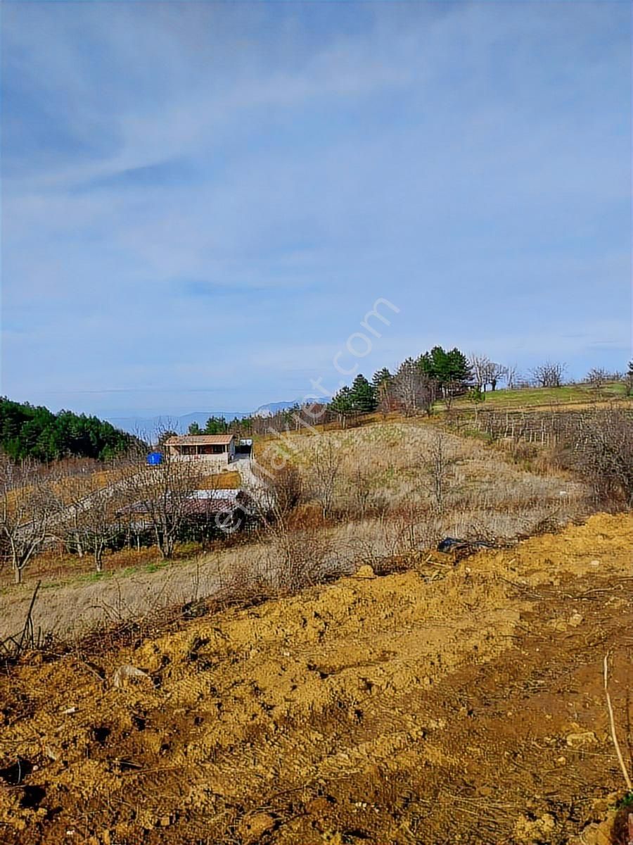 Kestel Orhaniye Cemiyet Bölgesinde Satılık Tarla... - Görsel 6