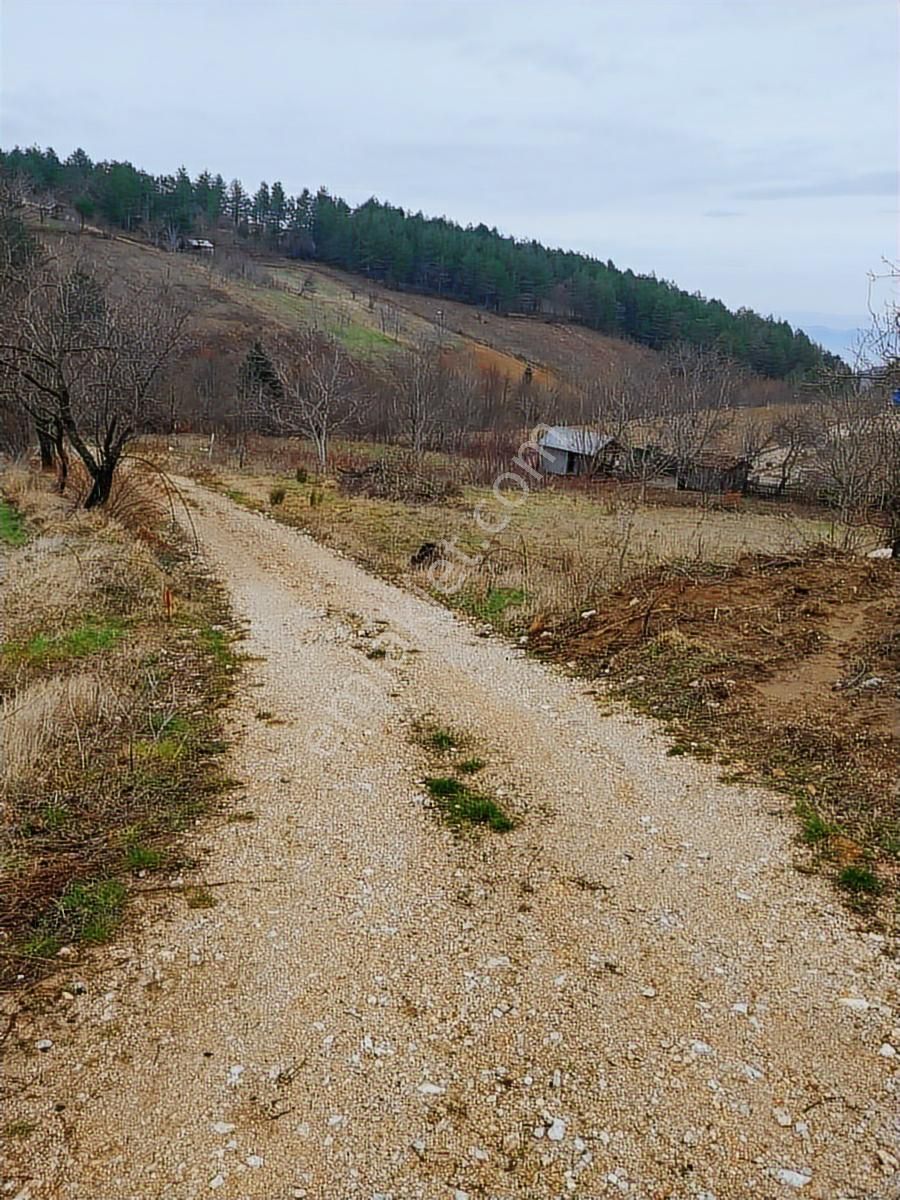 Kestel Orhaniye Cemiyet Bölgesinde Satılık Tarla... - Görsel 2