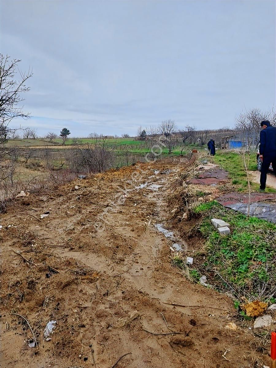 Kestel Orhaniye Cemiyet Bölgesinde Satılık Tarla... - Görsel 4