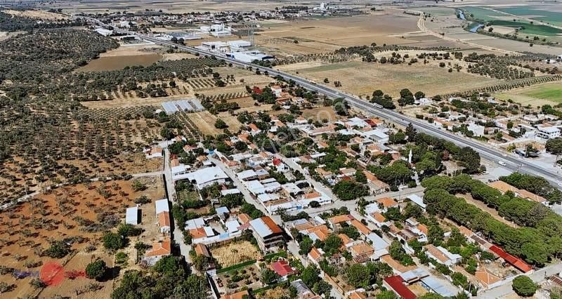 Bergama Kurfallıda Asfalta Yakın, Verimli Fırsat Zeytinlik