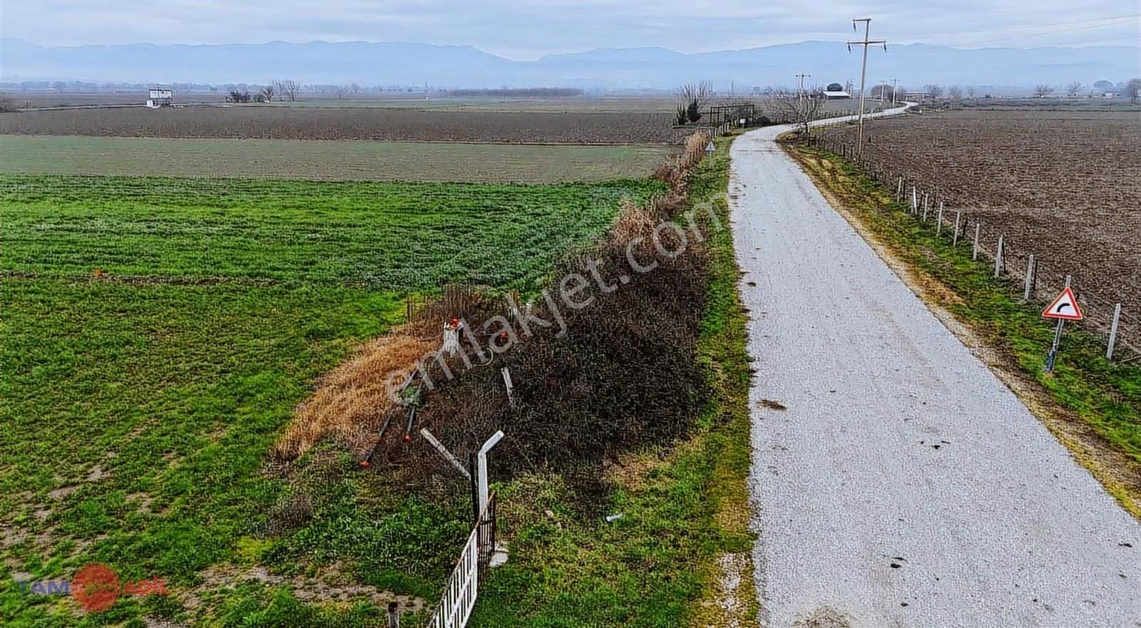 Bergama Ferizler Ovasında Asfalt Kenarı 4.850 M² Verimli Tarla - Görsel 6