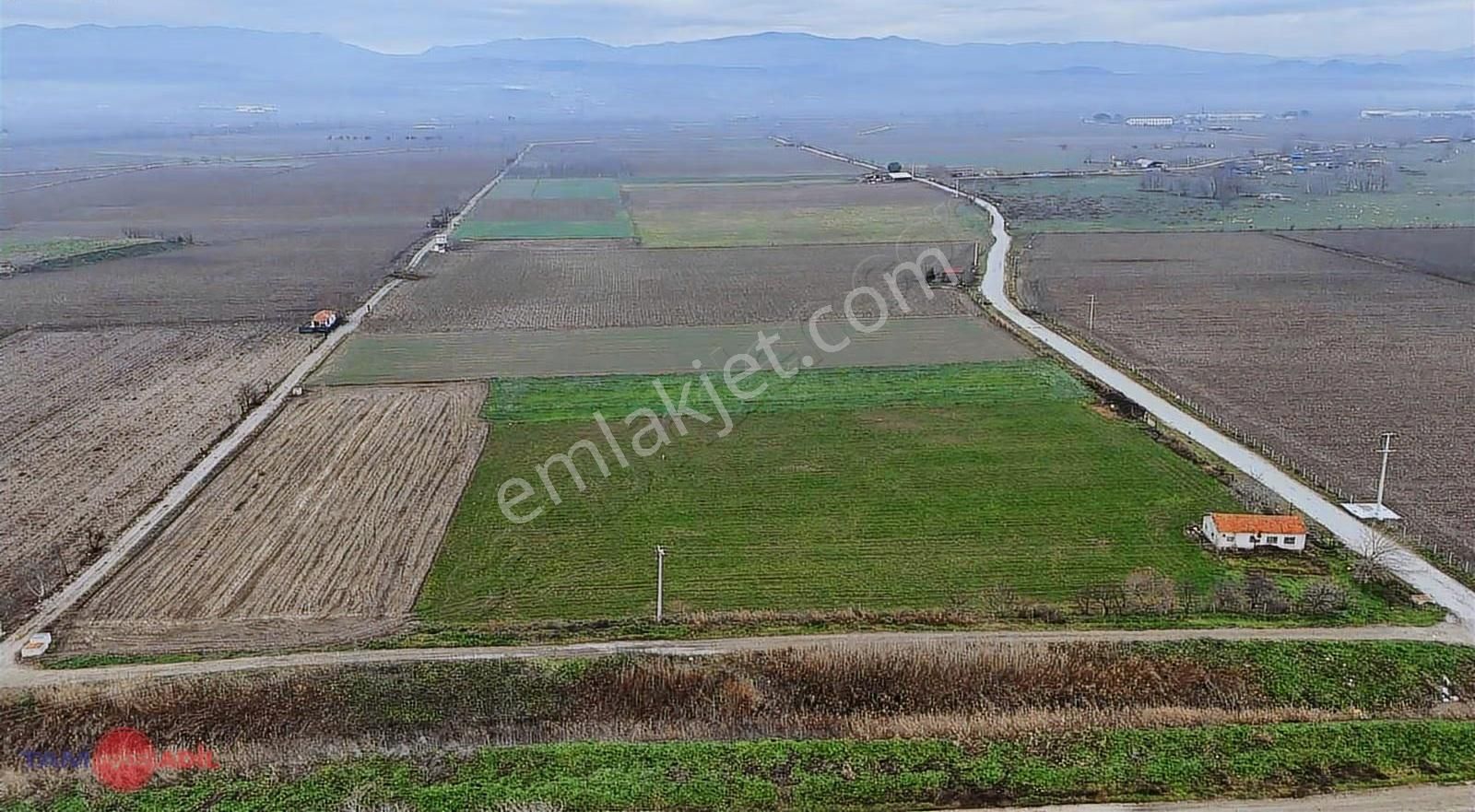 Bergama Ferizler Ovasında Asfalt Kenarı 4.850 M² Verimli Tarla - Görsel 8