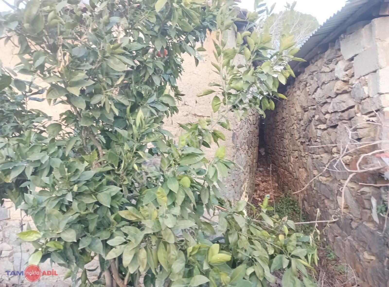 Dikili Yenice'de 86 M2 Satılık Arsa! - Görsel 14