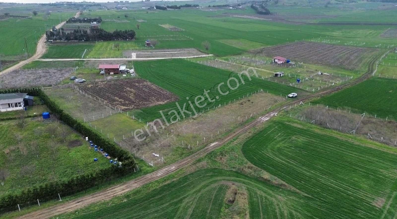 Silivri Çantada Yolu Olan Tek Tapu 852 M2 Satılık Tarla - Görsel 4