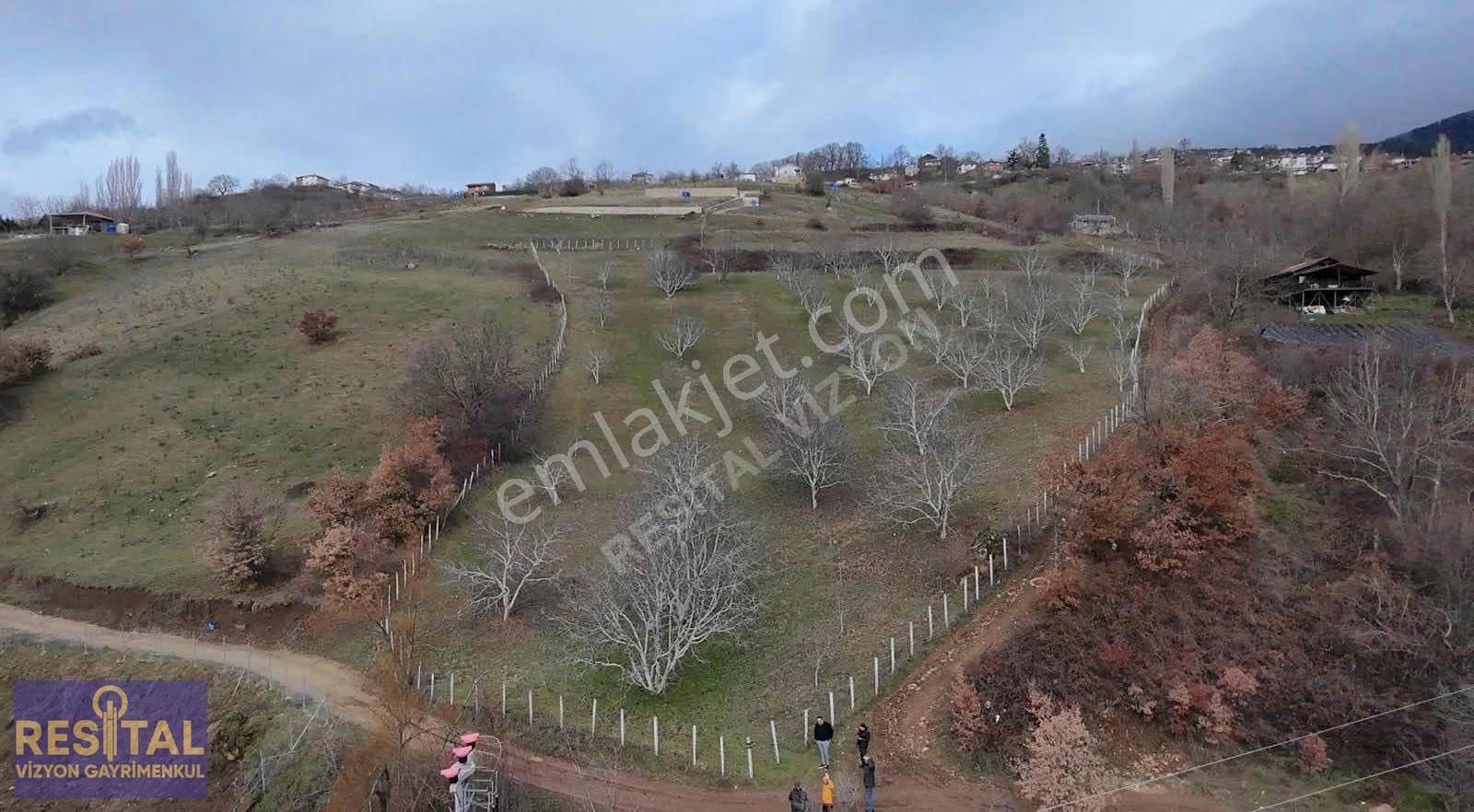 Yol Üstü Dağ Manzaralı Satılık Tarla