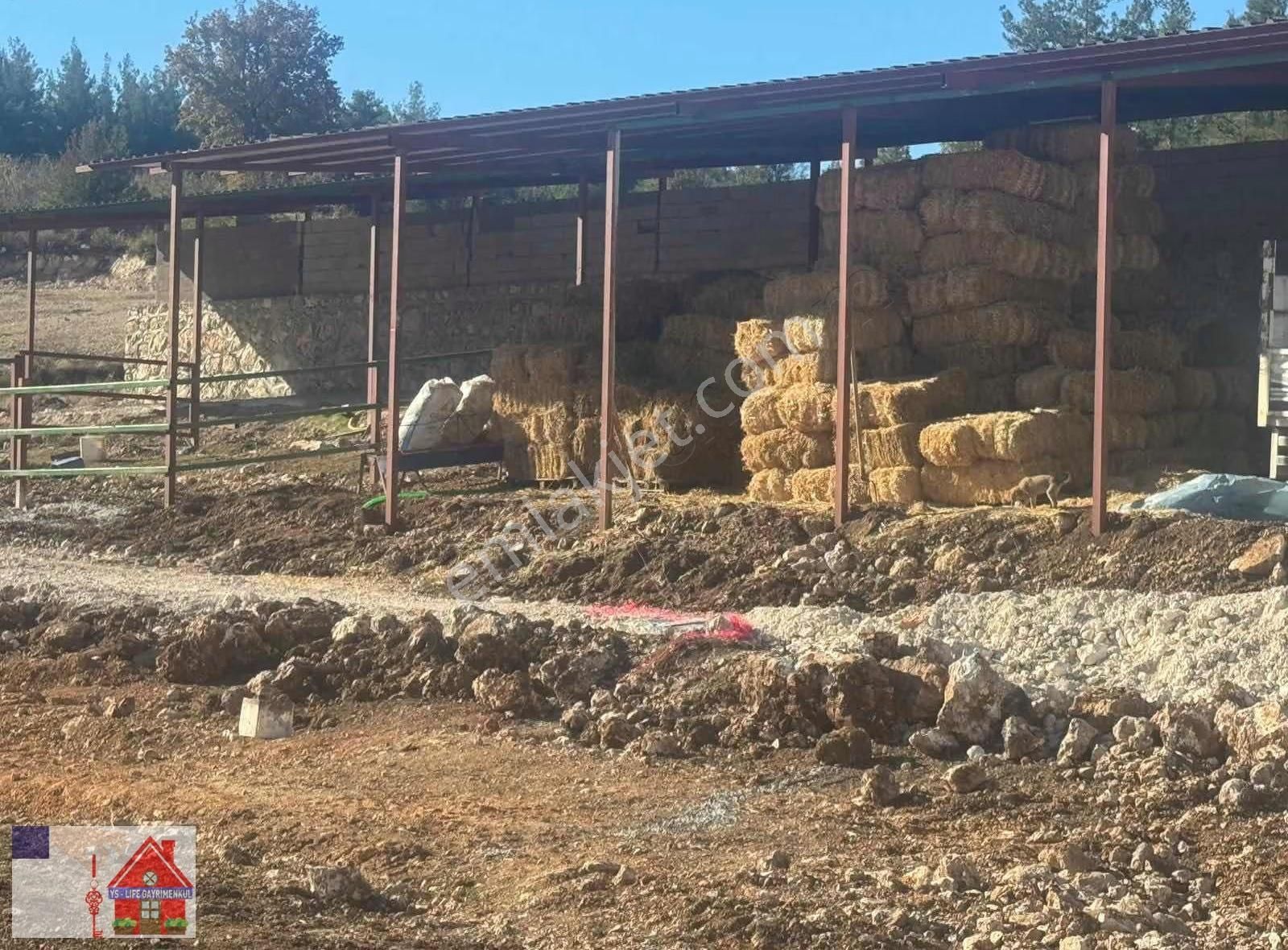Pamukkale Akçapınar Mah 11 Dönüm Çiftlik Satılık - Görsel 8