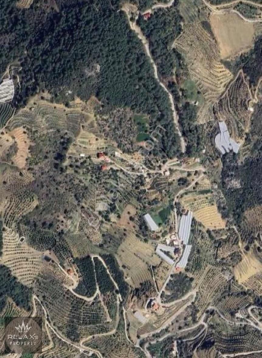 Alanya Hocalar Köyünde Satılık Tarla