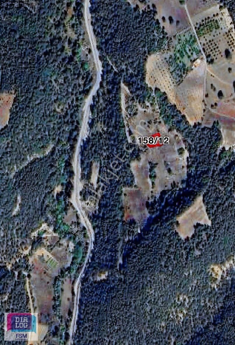 Bursa Keles Harmancıkdemirci De Tek Tapulu 813 Mt Tarla - Görsel 3